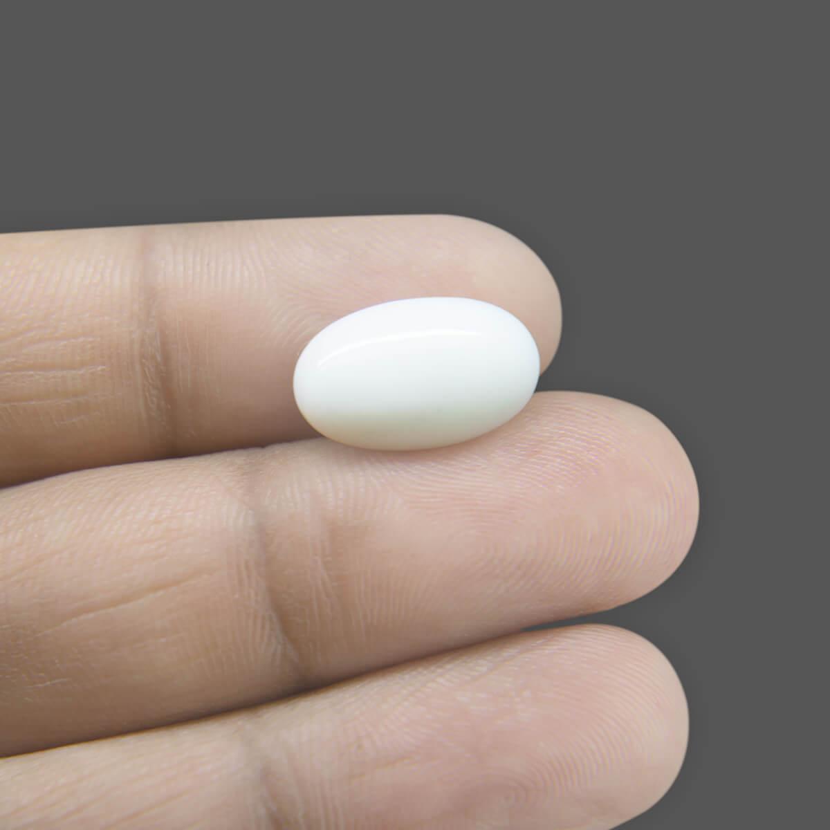 White Coral - 7.80 Carat