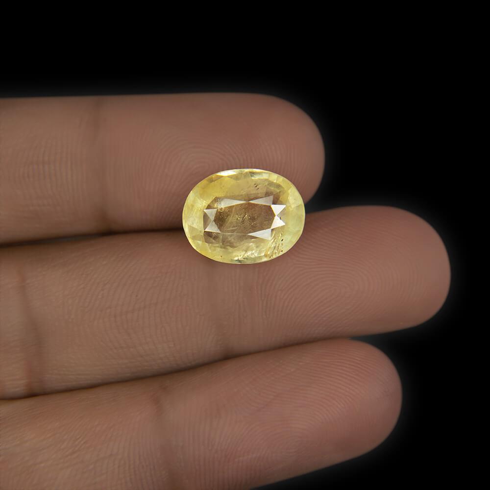 Yellow Sapphire - 8.63 Carat