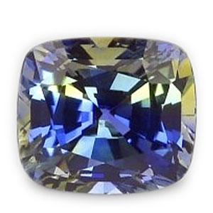 Pitambari/Neelambari