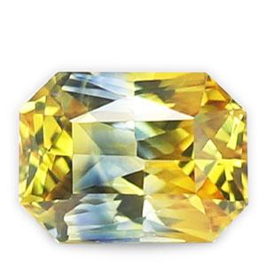 Pitambari/Neelambari