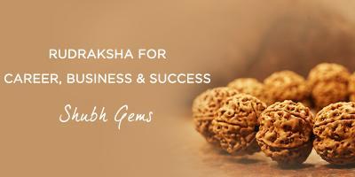 Rudraksha for Career, Business & Success