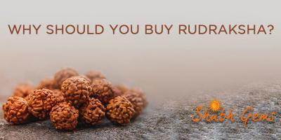 Why Should You Buy Rudraksha?