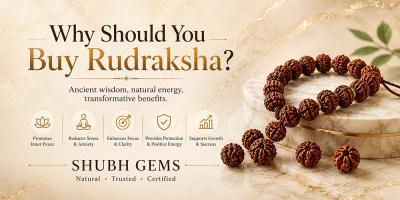 Why Should You Buy Rudraksha?
