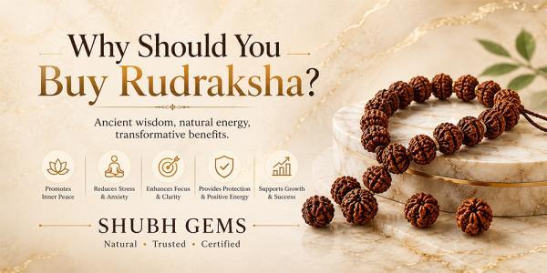 Why Should You Buy Rudraksha?