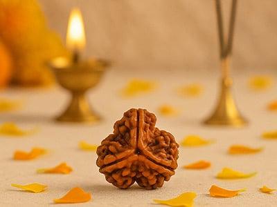 3 Mukhi Rudraksha