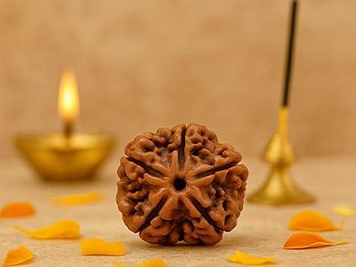 5 Mukhi Rudraksha