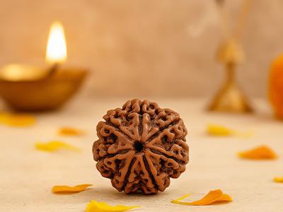 7 Mukhi Rudraksha