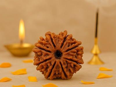 8 Mukhi Rudraksha