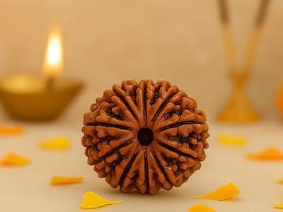 10 Mukhi Rudraksha