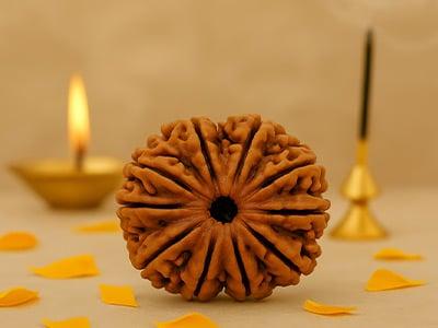 12 Mukhi Rudraksha
