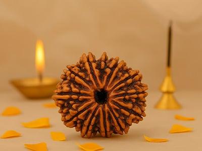 13 Mukhi Rudraksha