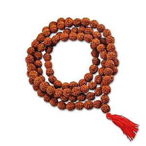 Buy Natural Rudraksha online at Best Price - ShubhGems.com