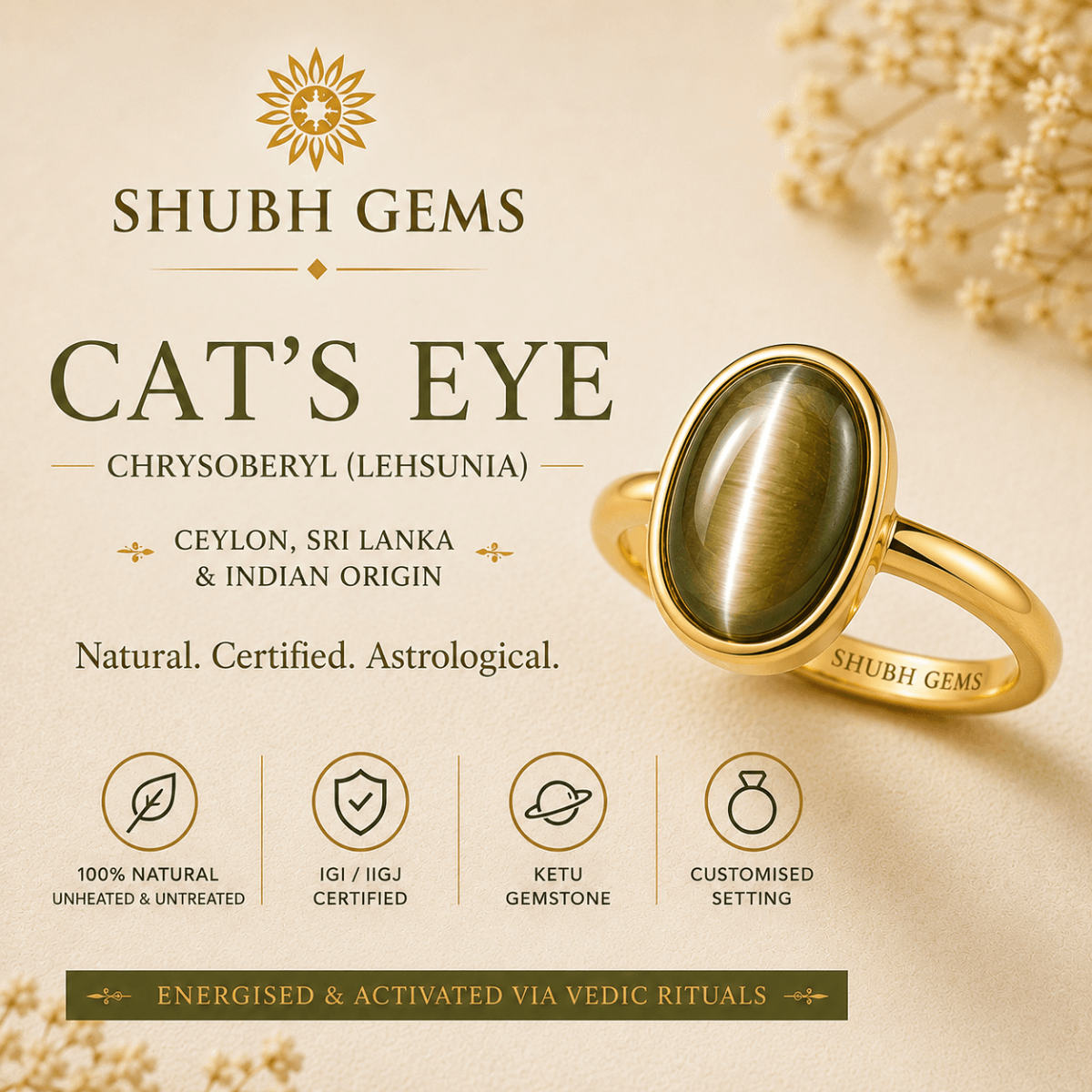 Buy Cat's Eye (Lehsunia) Online
