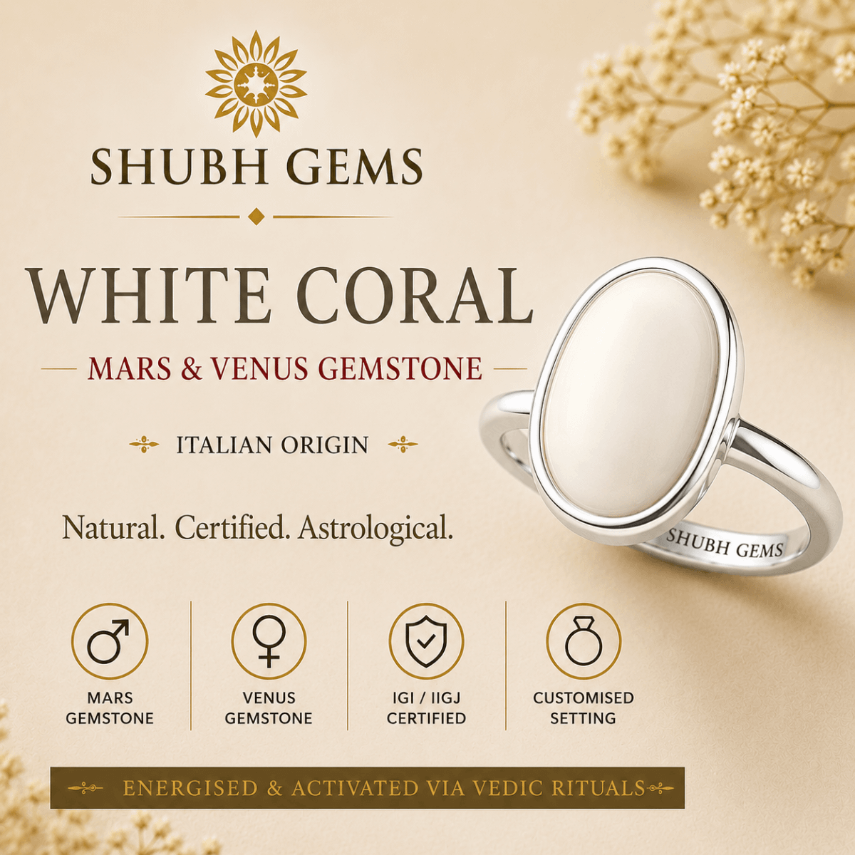Buy White Coral (Safed Moonga) Online